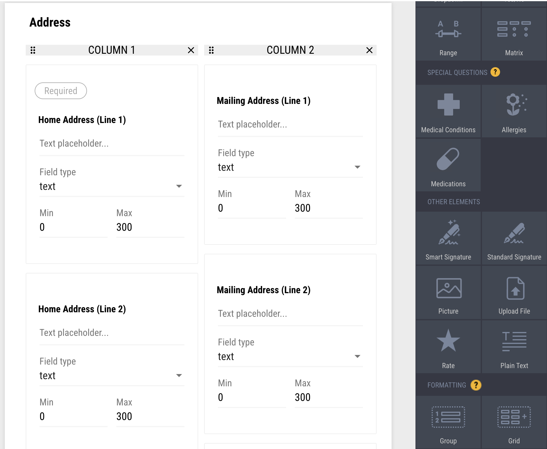 Grid in the Form Editor labelled "Address" and showing Home Address fields in column 1 and Mailing Address fields in column 2.